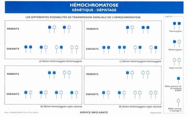 La Transmission génétique de l'hémochromatose
